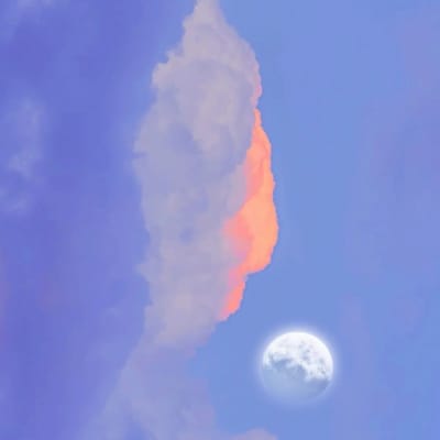 Lance Gokongwei avatar